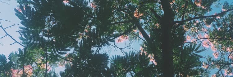 mindzbiz's profile banner image