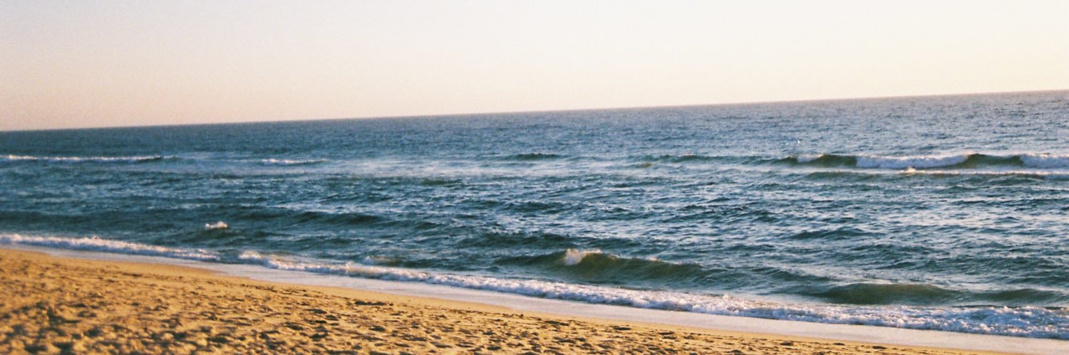 sofiag2002's profile banner image