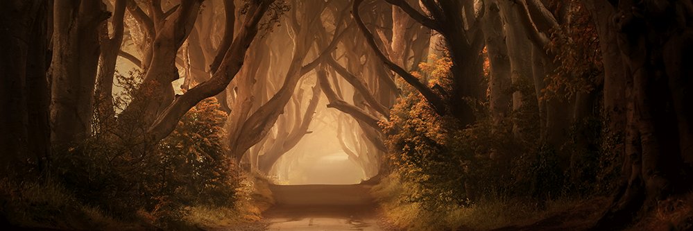JarekBlaminsky's profile banner image