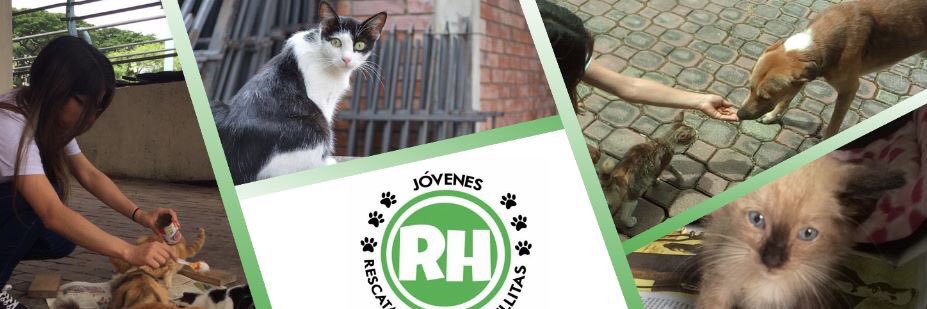 JovenesRH's profile banner image