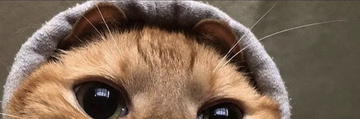 Donovka's profile banner image