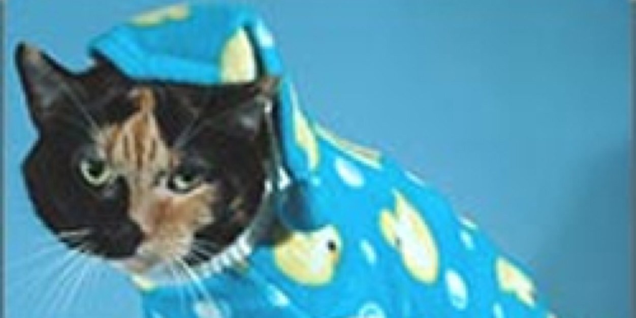 originalG_30's profile banner image