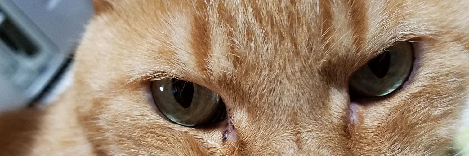 noa_ivu's profile banner image