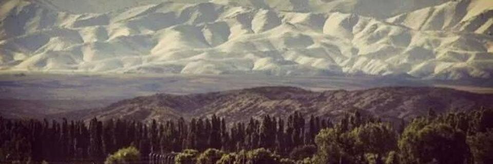 agost_1993's profile banner image