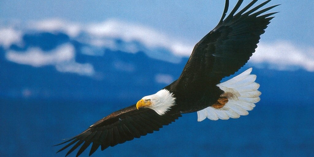 blakelove69's profile banner image