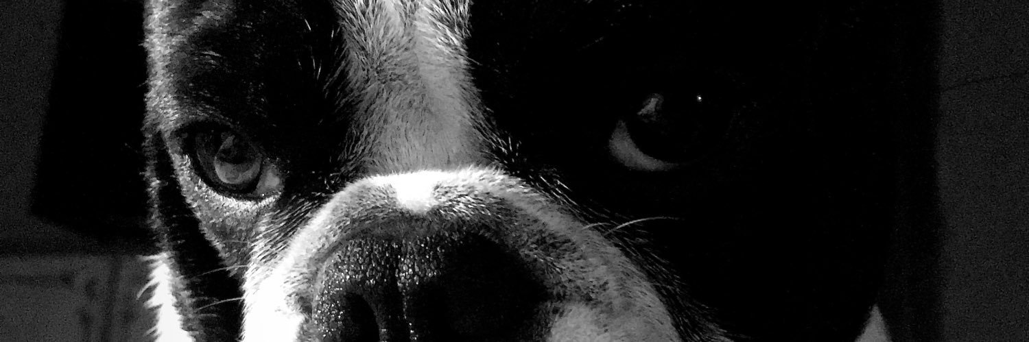 anatepsich's profile banner image