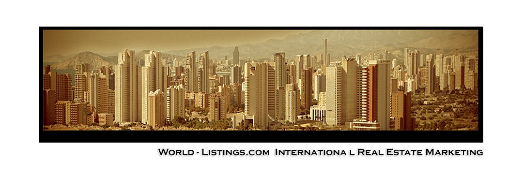 WrocTrade's profile banner image