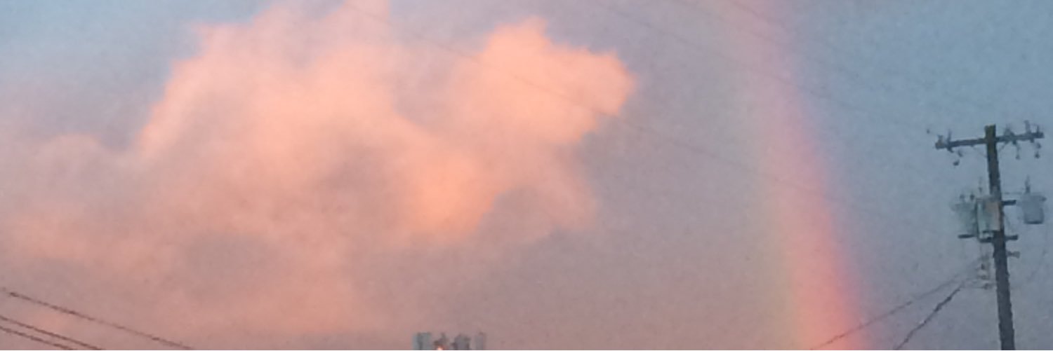 liddiyuh's profile banner image
