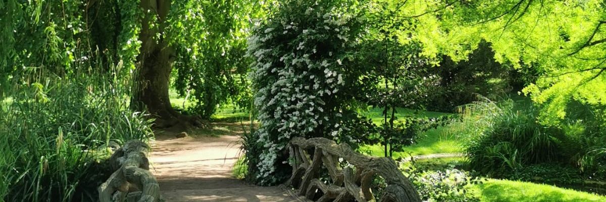 eden_gilmore's profile banner image