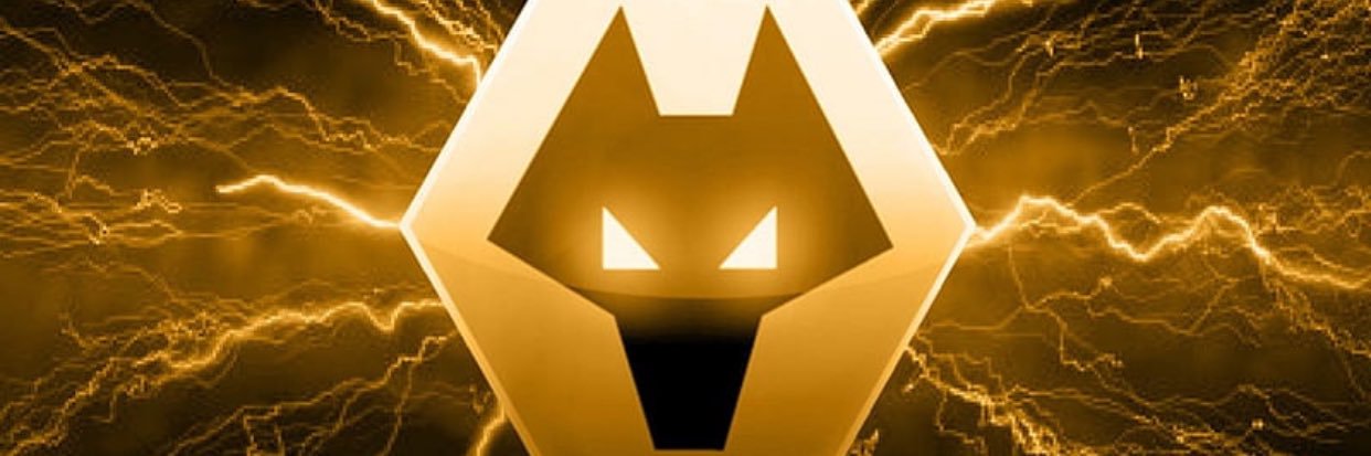 FJD banner