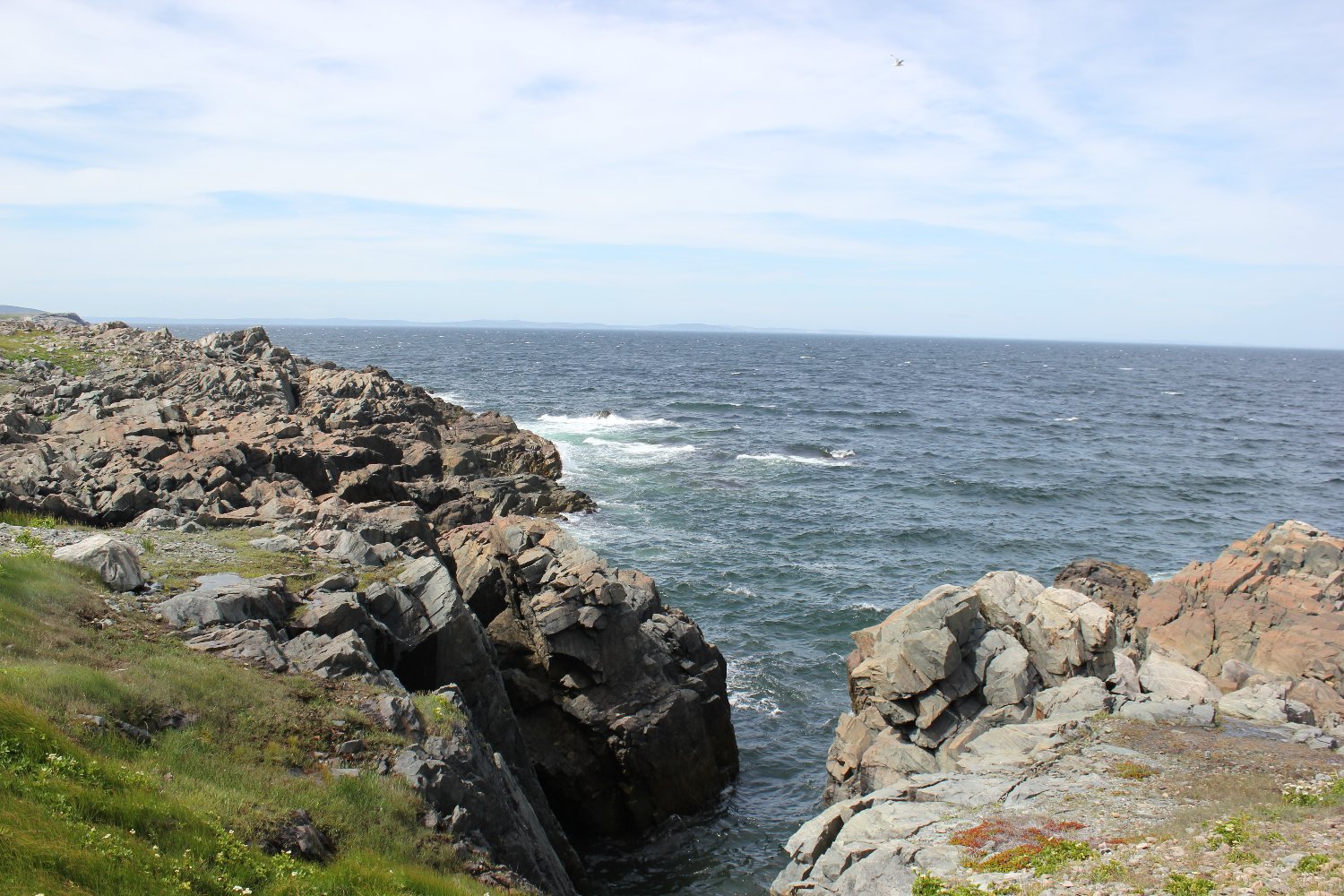 Willliam M. Forbes banner