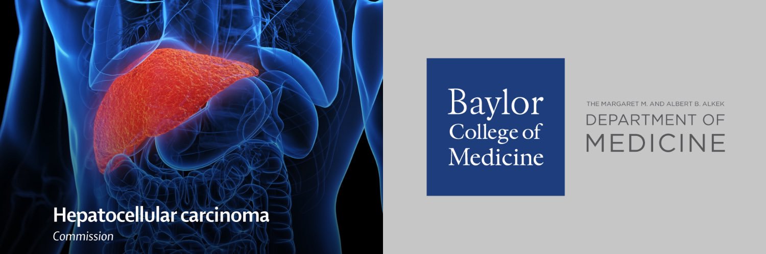 Hashem el- Serag banner