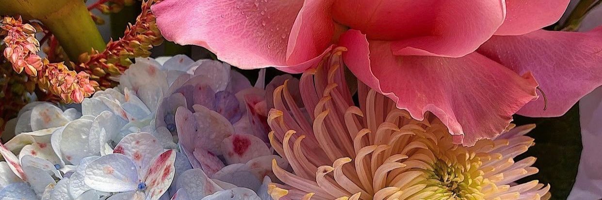 tiae_'s profile banner image