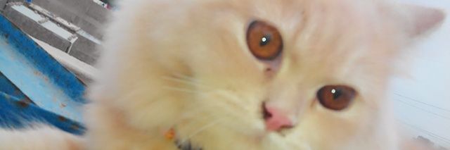 marium1689's profile banner image