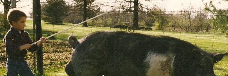 DavidKorb's profile banner image