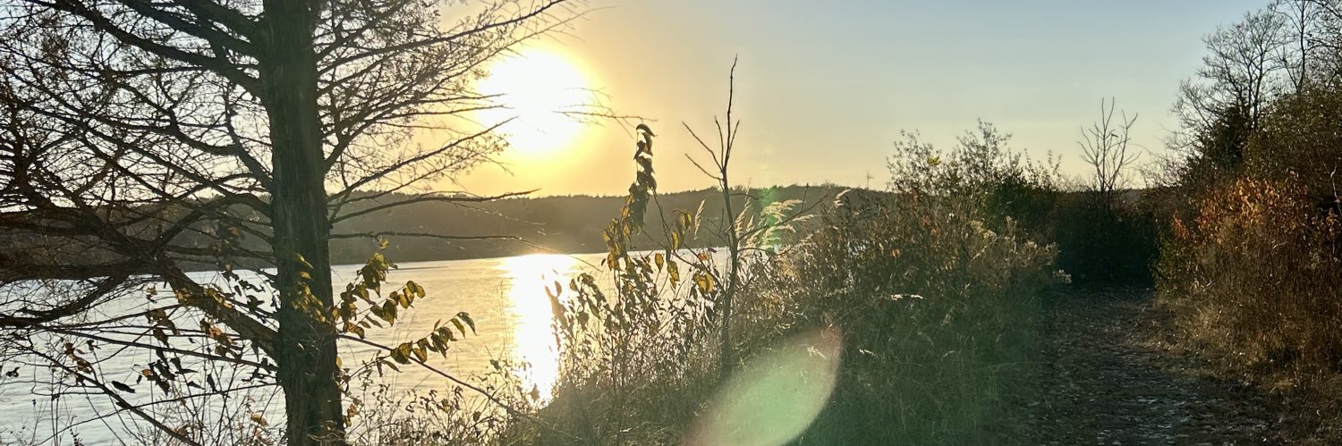 Amy Grady banner