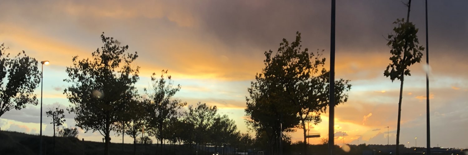 sofigg_22's profile banner image