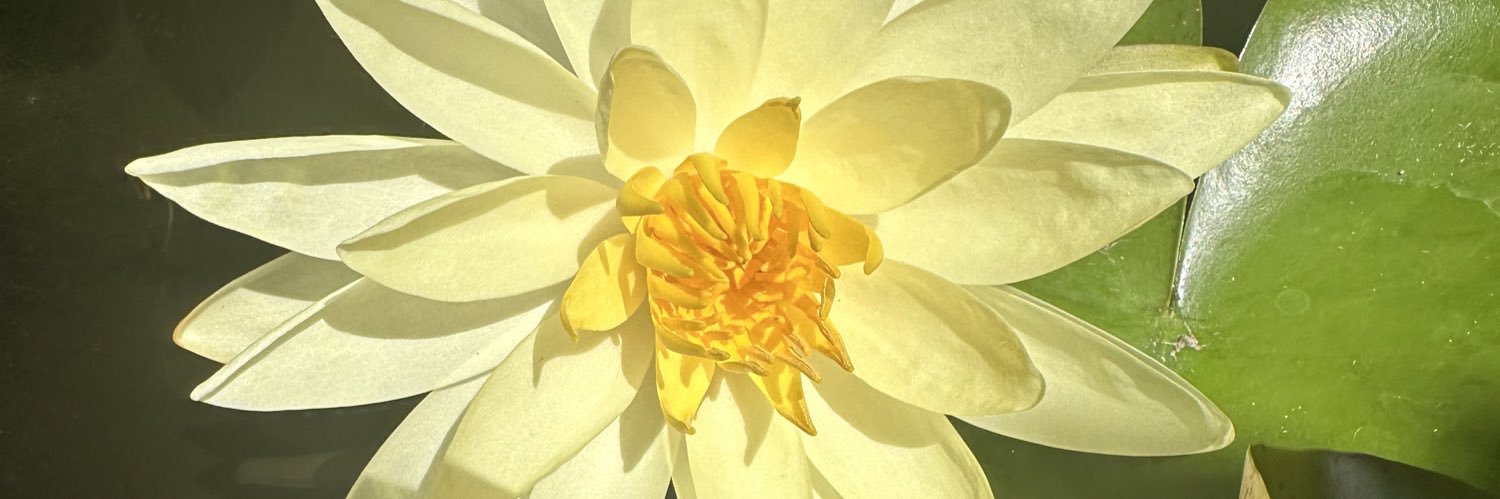 Tdprin's profile banner image