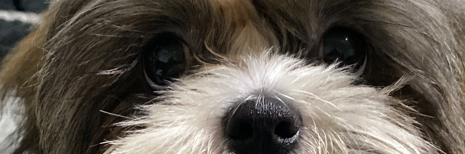 andyemn20's profile banner image