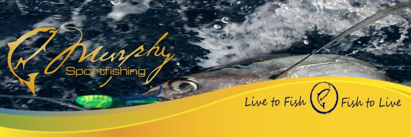 David Murphy banner