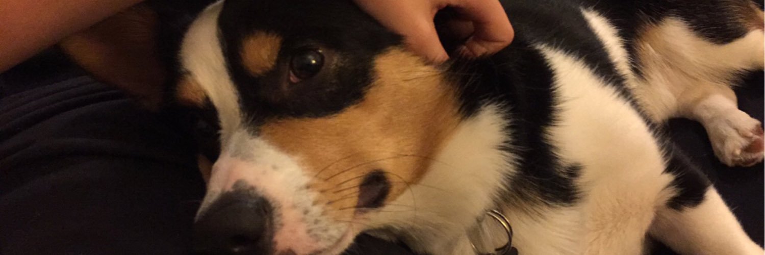 v_haylee's profile banner image