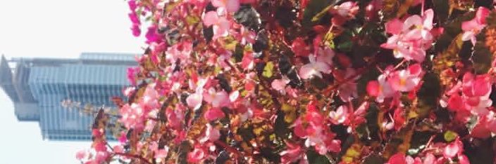 qos___07's profile banner image