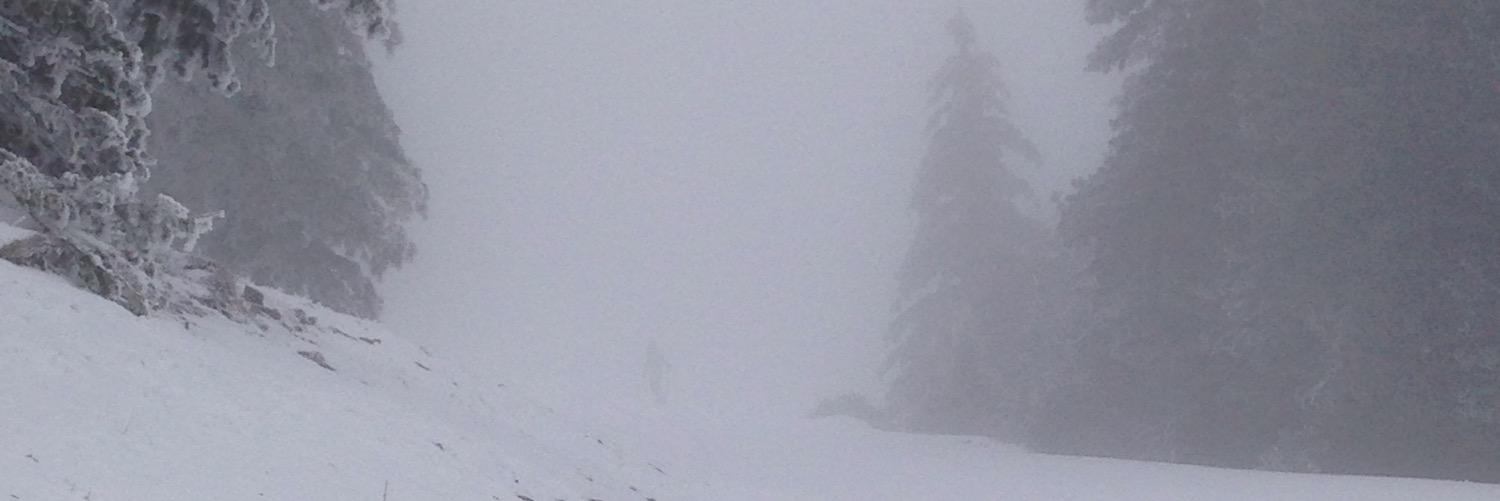 alynew21's profile banner image
