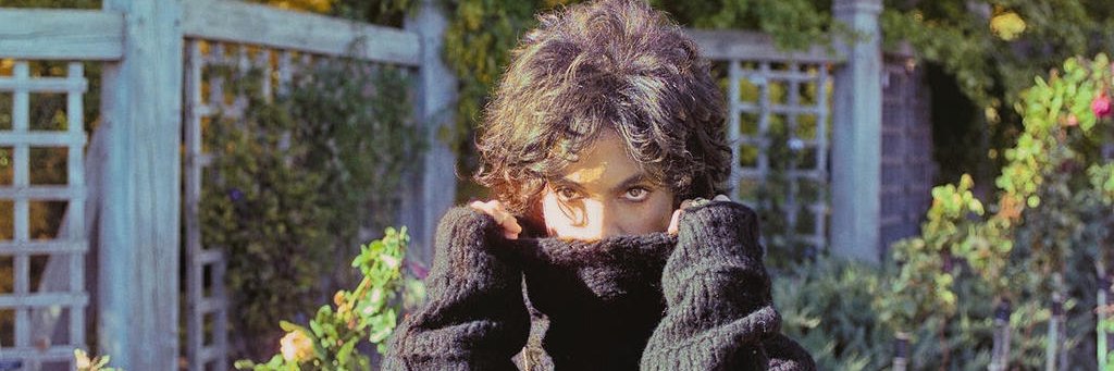 vloranze's profile banner image