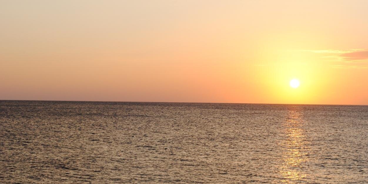 IndiHeartnMind's profile banner image