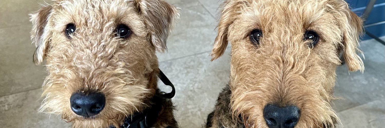 John Sheridan banner