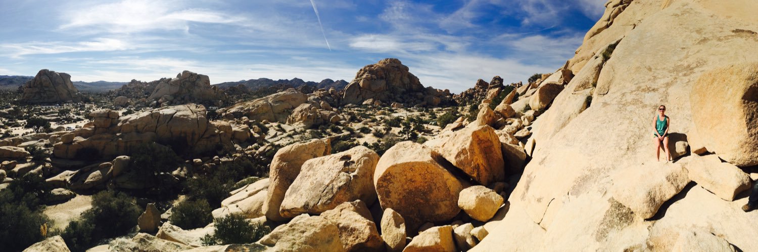 wilsok4's profile banner image