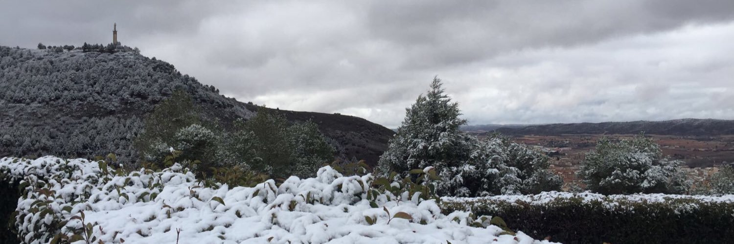 Robb - Inversor Pirata 🏴‍☠️ banner