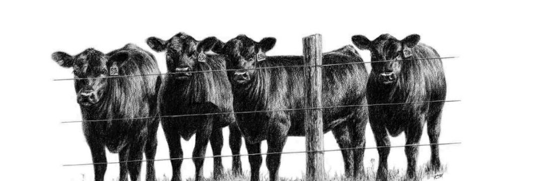 johnson51249's profile banner image