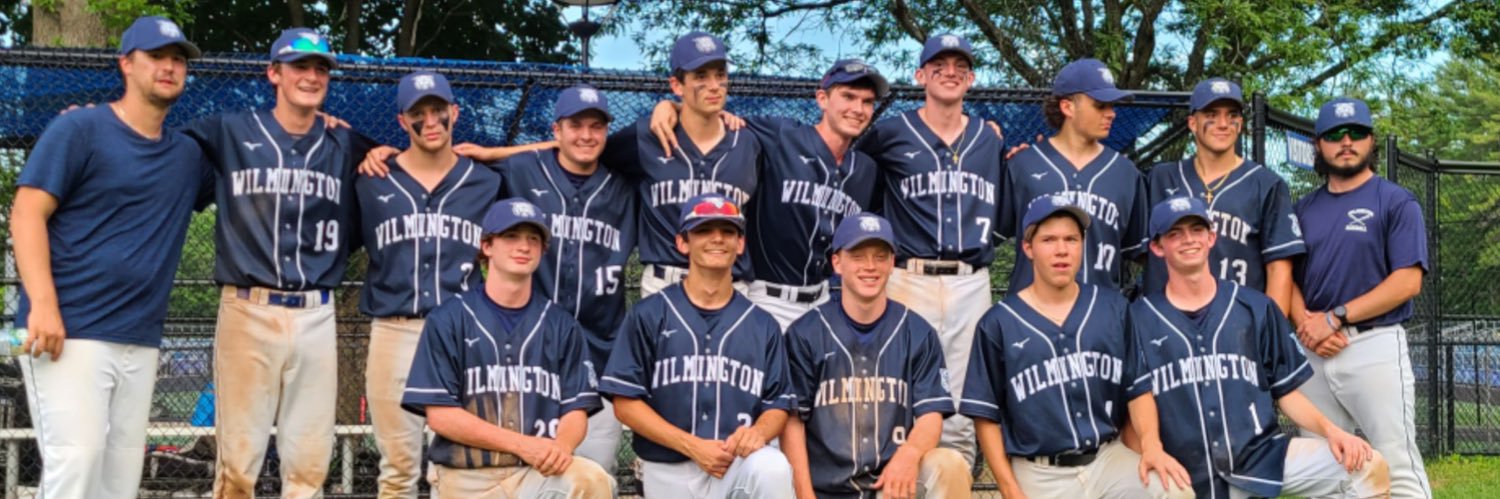 Wildcat Baseball banner