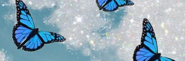 Brisa__Perez's profile banner image