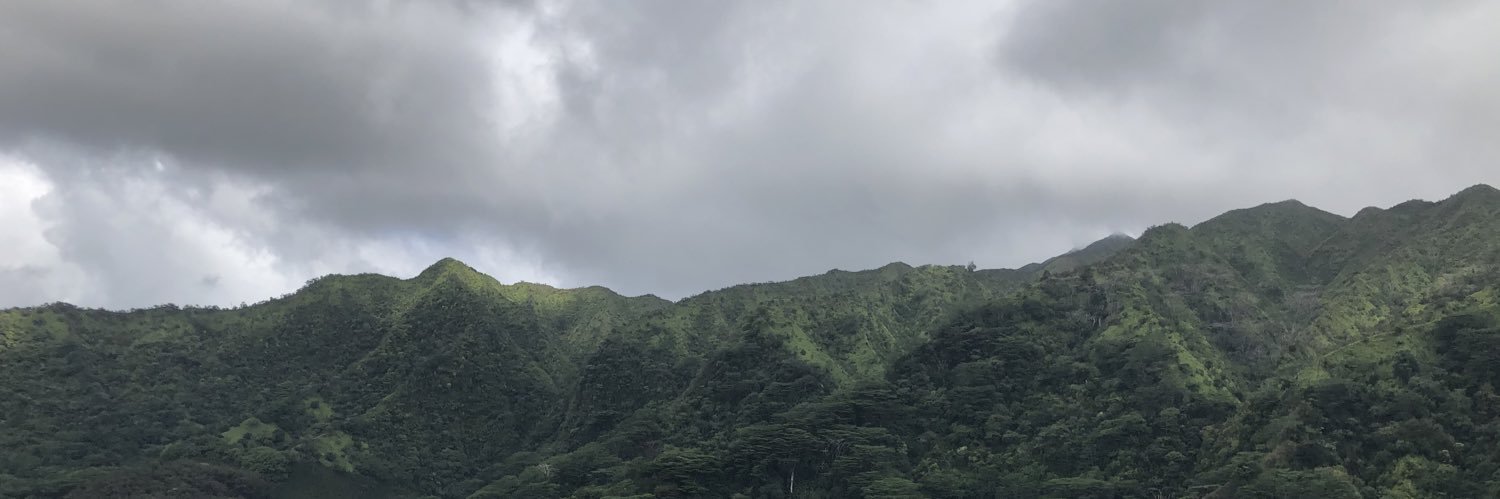ryden_a's profile banner image