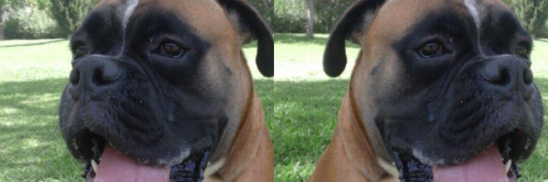flowrap's profile banner image