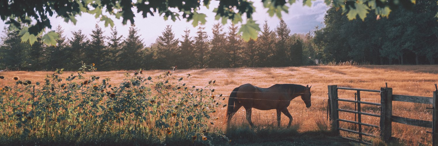 Acornsaddlery's profile banner image