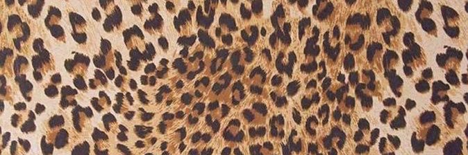 toriiijackson's profile banner image