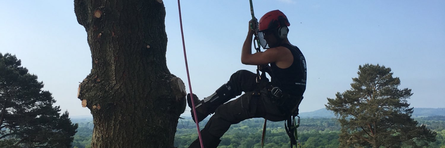 Brackendale TreeCare banner