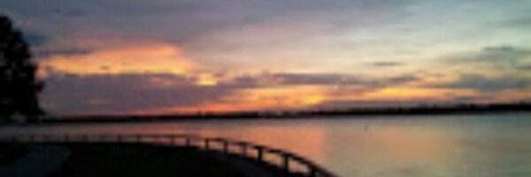 RushReed Profile Banner