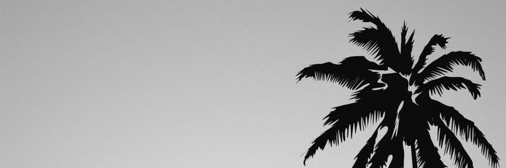 izz_ra_el's profile banner image