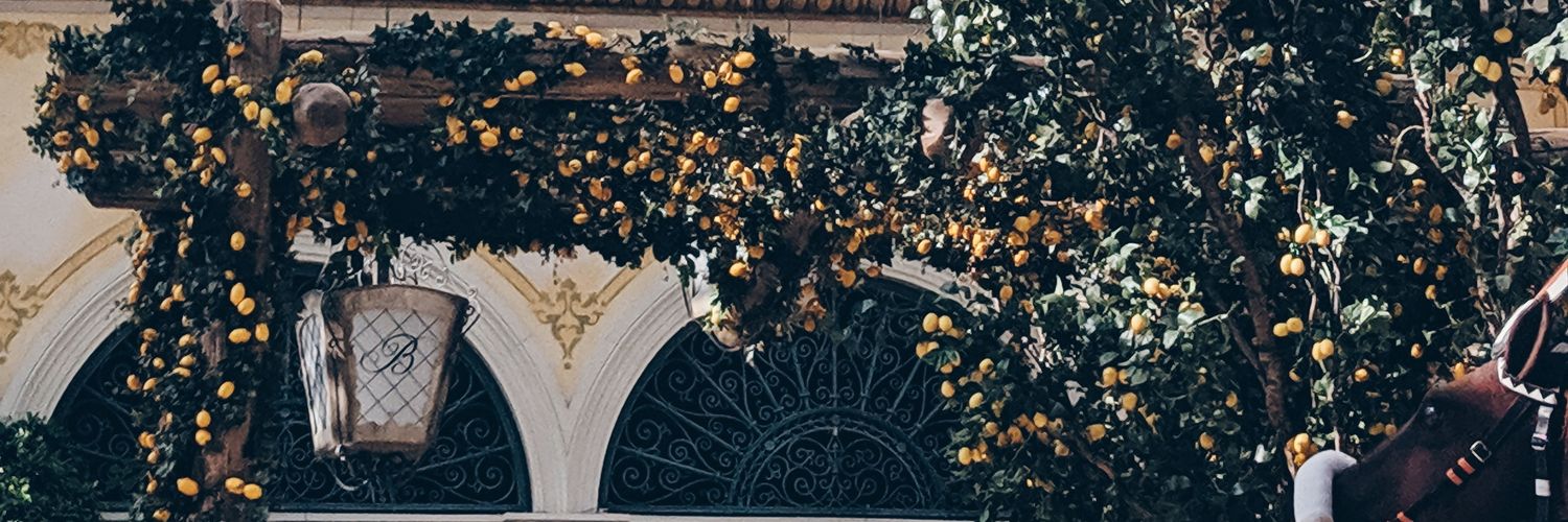 nancymchen's profile banner image