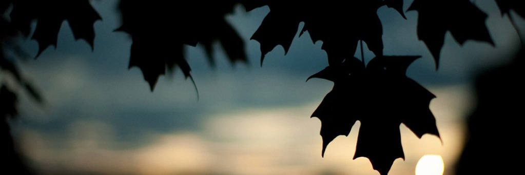 LLVC1987's profile banner image