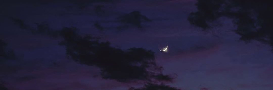 miahroach's profile banner image