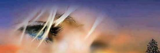 2433267's profile banner image