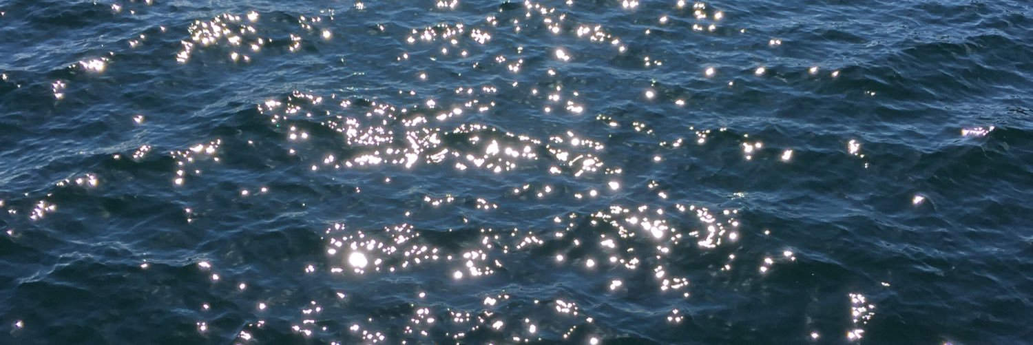 EmmaaBobson's profile banner image