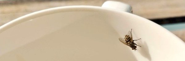 sandrambcrocs Profile Banner