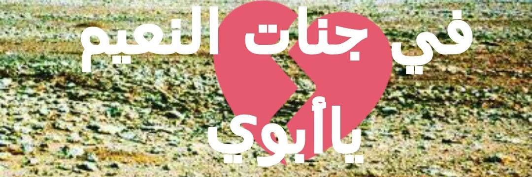 shreafa33's profile banner image