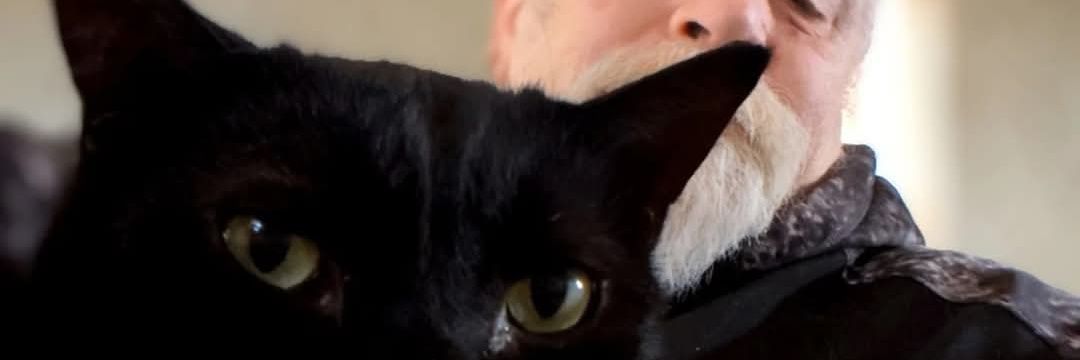 thomaskattusII's profile banner image